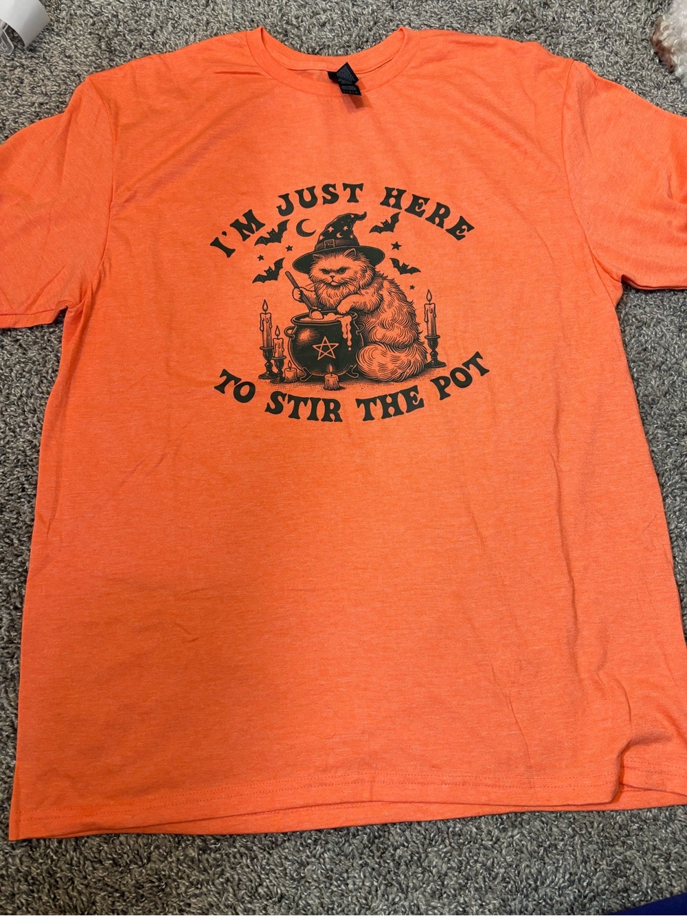 Orange Cat Graphic Tee - I'm Just Here to Stir the Pot